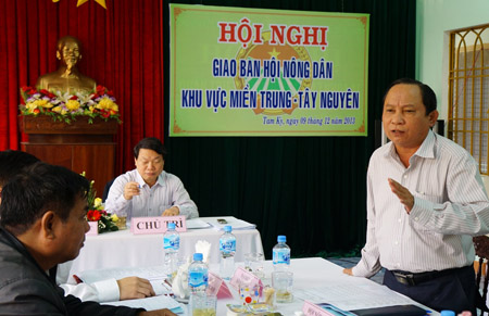 Ông Vũ Văn Thẩm - Chủ tịch Hội ND tỉnh Quảng Nam  kiến nghị T.Ư Hội cần có tiếng nói đối với các thủy điện