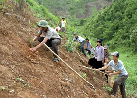 Người dân bản Phiêng Ban, xã Púng Bánh (Sốp Cộp) tham gia trồng rừng.