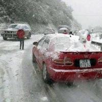 Sa Pa: Tuyết rơi đẹp như ở Châu Âu