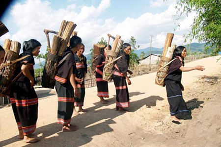 Với phụ nữ Jrai, lấy củi và trữ củi là cả một nghệ thuật. Ảnh minh họa