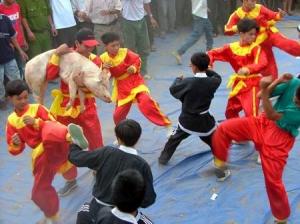 Tranh heo trong Lễ hội đổ giàn.