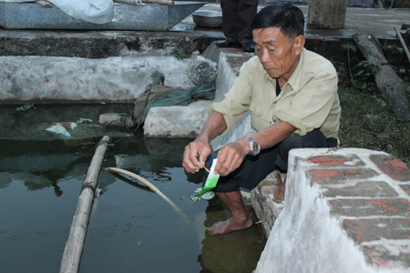 Ông Chẫm khử khuẩn nguồn nước nuôi cá.