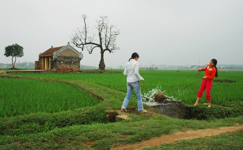 Tát nước bằng gầu sòng