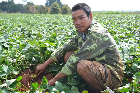 Anh Bùi Văn Đạt bên vườn giống khoai lang.