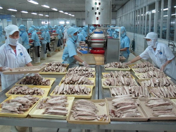 Chế biến cá ngừ đóng hộp tại Công ty KTC Food Kiên Giang. (Nguồn ảnh: TTXVN)
