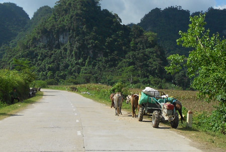 Quốc lộ 4A, tuy nắng hửng nhưng giá rét đã ảnh hưởng nhiều đến sinh hoạt của người dân