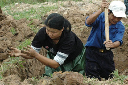 Chị Bình cùng với anh trai đang đào mộ để tối bốc.