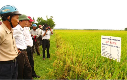 Lãnh đạo Sở NN&PTNT kiểm tra kết quả cánh đồng mẫu tại xã Song Lộc (Nguồn ảnh: Báo Hà Tĩnh)