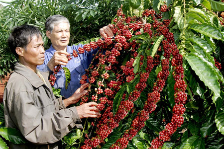 Phần lớn nông dân chưa qua đào tạo chuyên môn kỹ thuật.