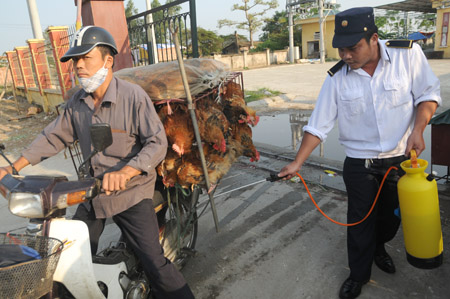 Phun thuốc phòng dịch bệnh tại chợ đầu mối gia cầm Hà Vỹ (Hà Nội).