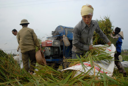 Lãnh đạo các địa phương đề nghị việc hỗ trợ nông dân cần phải được thực hiện mạnh hơn, thường xuyên hơn.