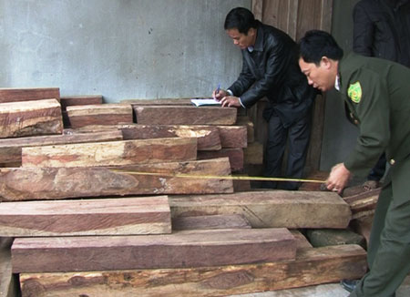 Số gỗ lậu bị Công an tỉnh Quảng Trị bắt giữ.  (Nguồn ảnh: CAND)