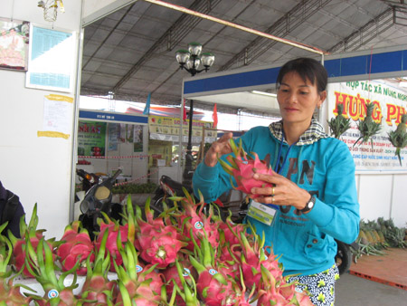 Thanh long Bình Thuận là một trong những sản phẩm được cấp  chứng nhận bảo hộ chỉ dẫn địa lý.