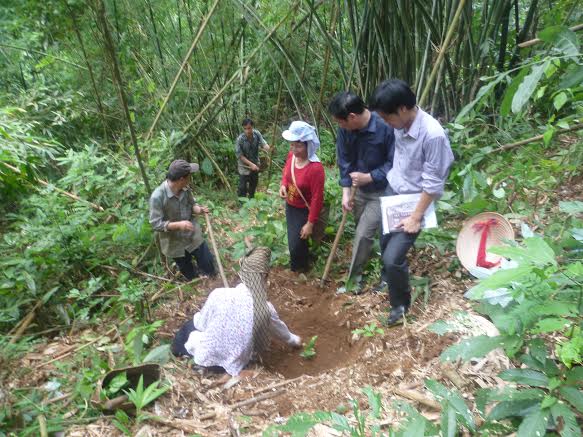 Hướng dẫn bà con trồng cây.