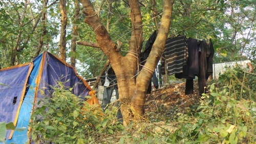 Những túp lều lụp xụp dùng dây thừng níu vào thân cây cho chắc chắn.