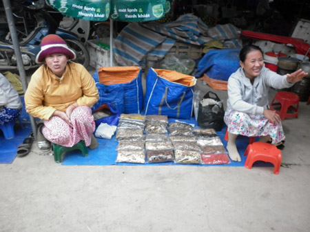 Tại chợ huyện Anh Sơn, các loại thuốc Nam được bày bán như  rau