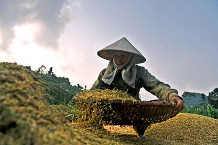 Sau 30 năm đổi mới, đời sống của một bộ phận nông dân vẫn còn nhiều khó khăn (ảnh minh họa). 