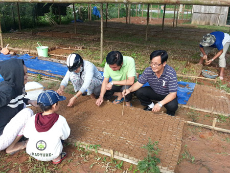 Vườn ươm giống sâm Cao Ly mới được di thực  từ Hàn Quốc về trồng thử nghiệm tại Tây Giang