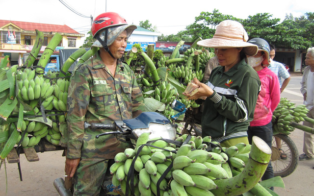 Trồng chuối: Nếu bạn đam mê trồng cây, hãy thử đổi gió bằng cách trồng những cây chuối thân thiện với môi trường và rất thông dụng tại Việt Nam. Trong hình ảnh sắc nét này, chúng ta sẽ được chiêm ngưỡng vẻ đẹp tự nhiên của những vườn chuối đầy màu sắc và ngây ngất.