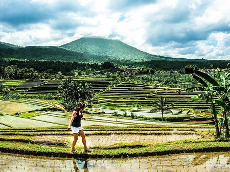 Danika thăm thú một thửa ruộng bậc thang ở Bali.