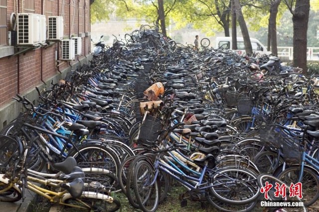 Cảnh tượng khó tin tại nghĩa địa xe đạp khổng lồ Trung Quốc
