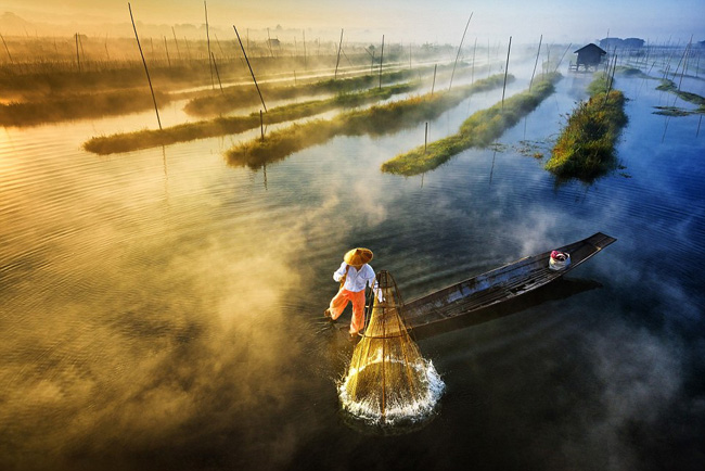 Hình nền Nền Phong Cảnh Thiên Nhiên đẹp Và Trong Lành Nền, Thiên Nhiên, Thiên  Nhiên Tươi đẹp, Rừng Background Vector để tải xuống miễn phí - Pngtree