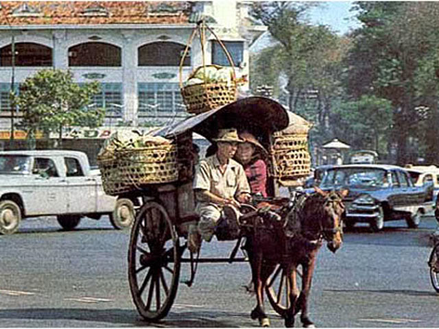 Xe ngựa luôn là biểu tượng của sự sang trọng và quý tộc. Hãy tưởng tượng mình đang ngồi trên chiếc xe ngựa này, di chuyển trên những con đường cổ xưa, thấy được vẻ đẹp của tinh hoa văn hóa.