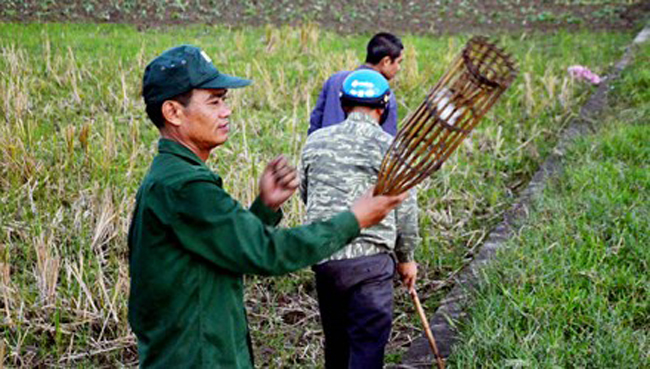 theo chan tho san chuot dong o thu do hinh anh 1