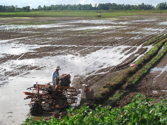 Cày nông bừa sục: Biện pháp cải tạo đất hiệu quả cho nông dân Việt Nam