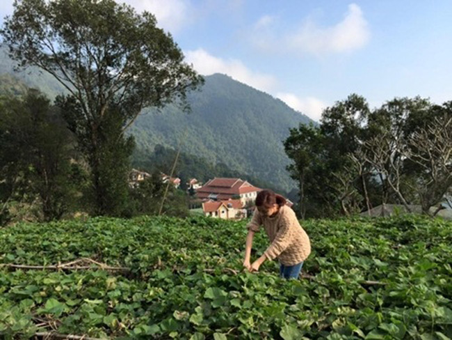 choang voi 2 dinh thu tai ha noi va o que cua hoang thuy linh hinh anh 6