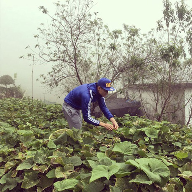 choang voi 2 dinh thu tai ha noi va o que cua hoang thuy linh hinh anh 8