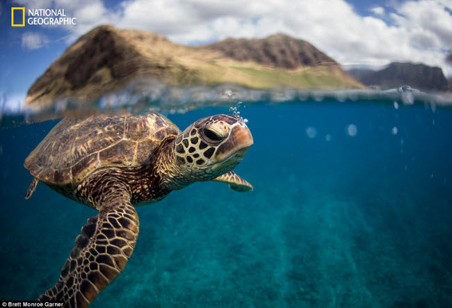 thien nhien dep me hon tren national geographic hinh anh 6