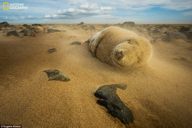 thien nhien dep me hon tren national geographic hinh anh 10