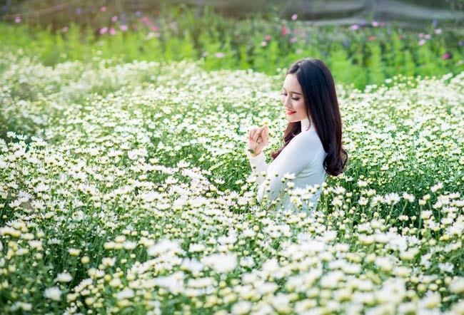 say long ngam nu huong dan vien du lich ben cuc hoa mi hinh anh 7