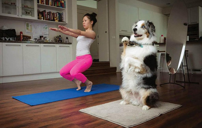 phi cuoi khi dong vat tap yoga 