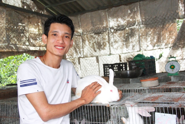 Nuôi thỏ làm giàu  Binh Phuoc Tin tuc Binh Phuoc Tin mới tỉnh Bình Phước