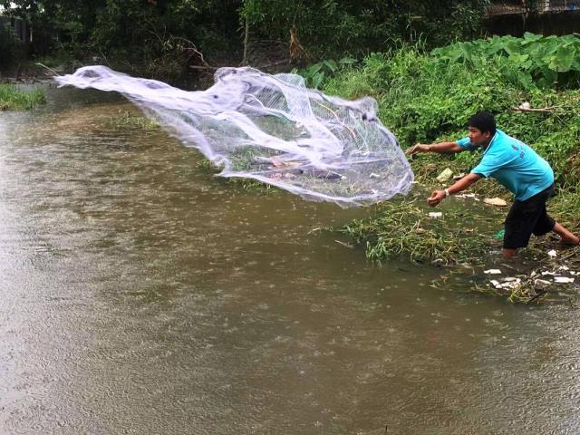 Clip: Người Sài Gòn buông chài, thả lưới bắt cá trên đường sau mưa lớn