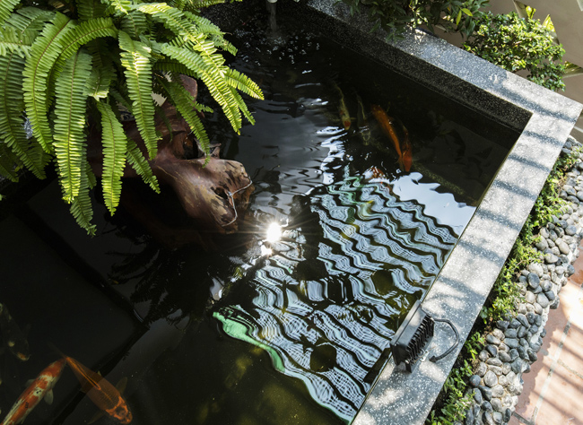 can nha yen binh van nguoi me cua vo chong tre o nha trang hinh anh 18