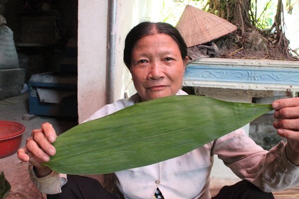 Một loại lá bỏ đi không ai lấy sang nước ngoài thành hàng đắt đỏ, đều đặn mang về 2 triệu USD/năm cho Việt Nam- Ảnh 2.