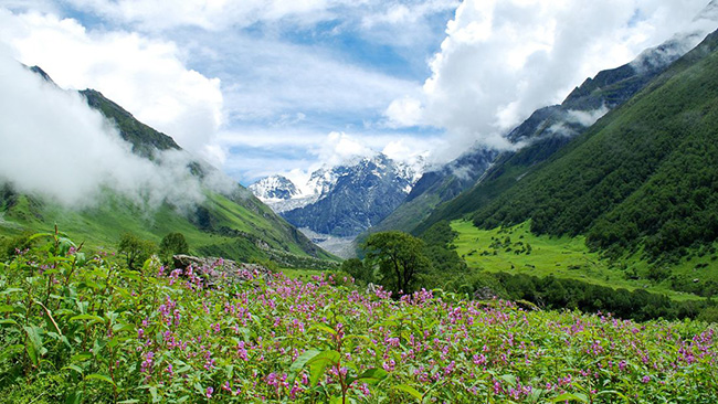 nhung dia diem dep lung linh, khong the bo lo khi du lich an do hinh anh 1