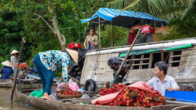 khach tay chia se trai nghiem kham pha viet nam bang mo to hinh anh 7