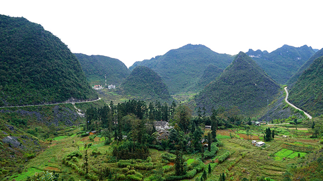 dinh thu 150 ty cua dong ho tung thong linh ca vung cao nguyen ha giang hinh anh 1