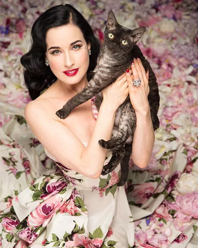 bi quyet khien beckham me man cua vu cong thoat y dita von teese hinh anh 8