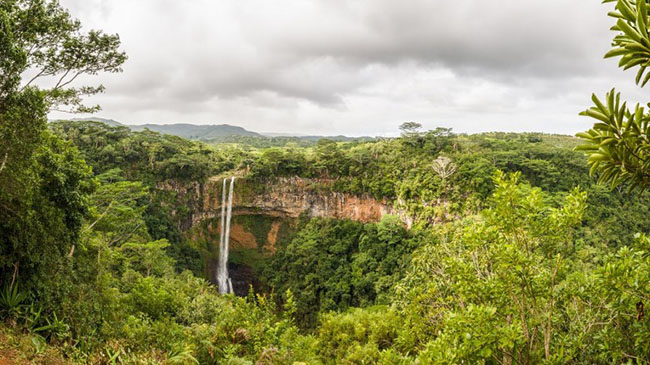 khong the tin giua chau phi kho can lai co mot 