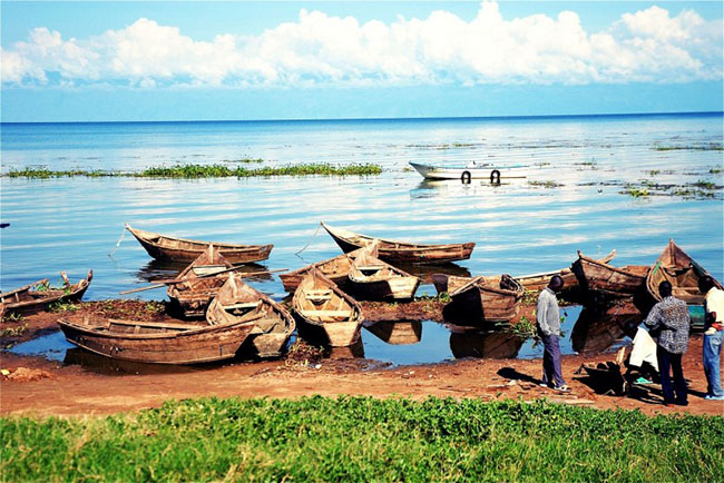 khong the tin giua chau phi kho can lai co mot 