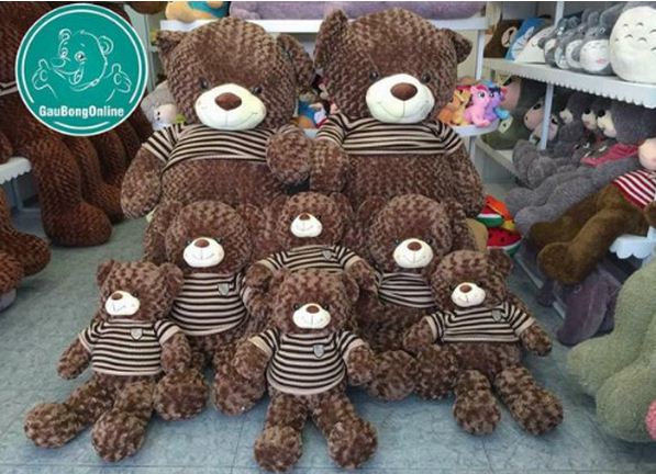Hình ảnh Gấu Teddy Hoạt Hình PNG Với Nền Trong Suốt | Tải Xuống Miễn Phí  Trên Lovepik.com