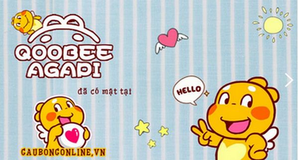 Chia sẻ hơn 80 về hình nền qoobee agapi  coedocomvn