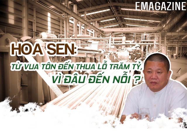 Hoa Sen: Từ vua tôn đến thua lỗ trăm tỷ, vì đâu nên nỗi?