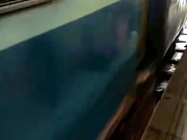 Thót tim cảnh tàu hỏa chạy qua khi bé gái 1 tuổi đang nằm dưới đường ray