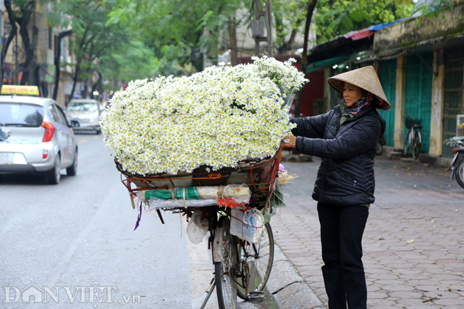 anh: nguoi ha noi co ro trong gia lanh 18 do c hinh anh 3